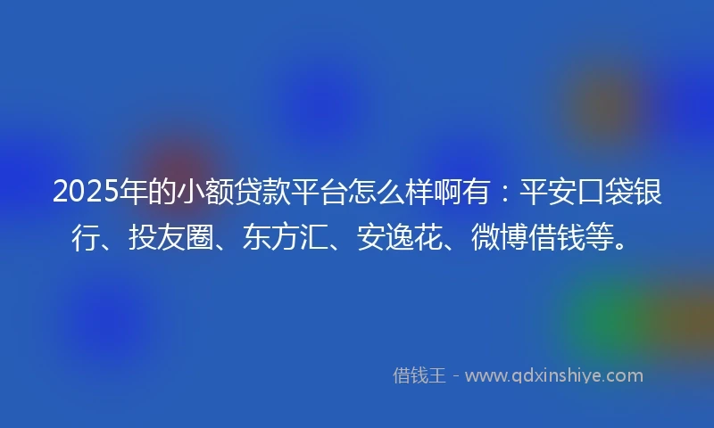 2025年的小额贷款平台怎么样啊有：平安口袋银行、投友圈、东方汇、安逸花、微博借钱等。