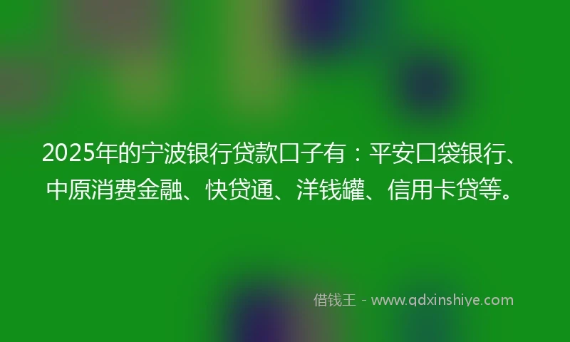 2025年的宁波银行贷款口子有：平安口袋银行、中原消费金融、快贷通、洋钱罐、信用卡贷等。
