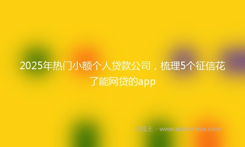 2025年热门小额个人贷款公司，梳理5个征信花了能网贷的app