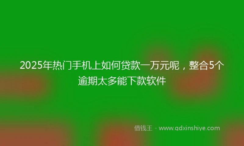 2025年热门手机上如何贷款一万元呢，整合5个逾期太多能下款软件