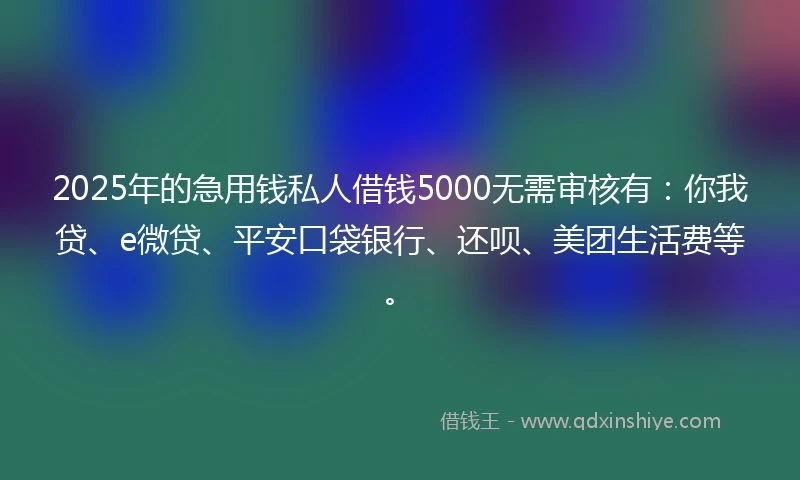 2025年的急用钱私人借钱5000无需审核有：你我贷、e微贷、平安口袋银行、还呗、美团生活费等。