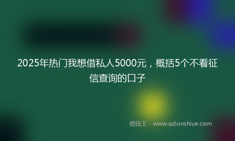 2025年热门我想借私人5000元，概括5个不看征信查询的口子