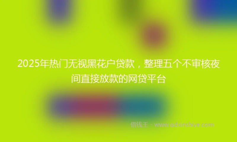 2025年热门无视黑花户贷款，整理五个不审核夜间直接放款的网贷平台