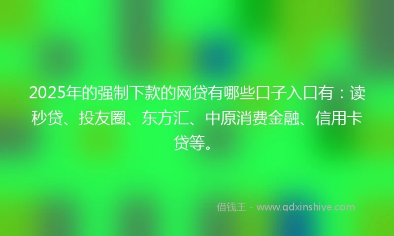 2025年的强制下款的网贷有哪些口子入口有：读秒贷、投友圈、东方汇、中原消费金融、信用卡贷等。