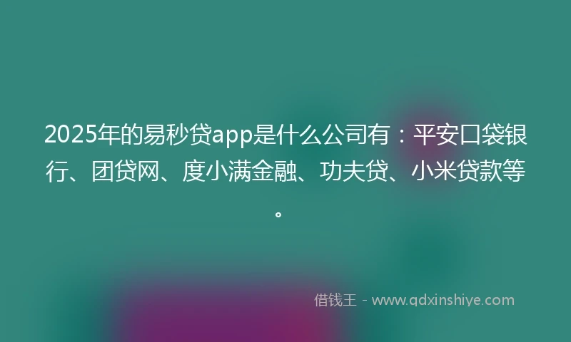 2025年的易秒贷app是什么公司有：平安口袋银行、团贷网、度小满金融、功夫贷、小米贷款等。