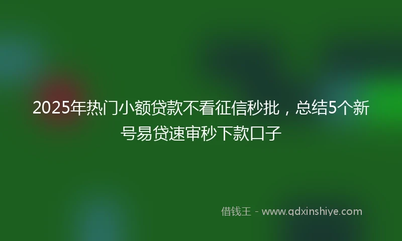 2025年热门小额贷款不看征信秒批，总结5个新号易贷速审秒下款口子