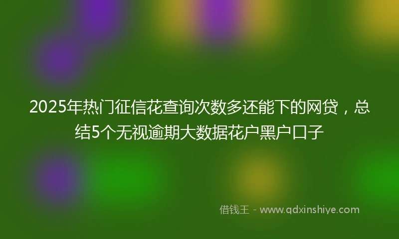 2025年热门征信花查询次数多还能下的网贷，总结5个无视逾期大数据花户黑户口子