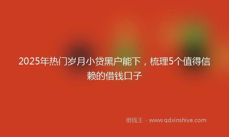 2025年热门岁月小贷黑户能下，梳理5个值得信赖的借钱口子