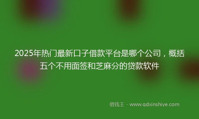 2025年热门最新口子借款平台是哪个公司，概括五个不用面签和芝麻分的贷款软件