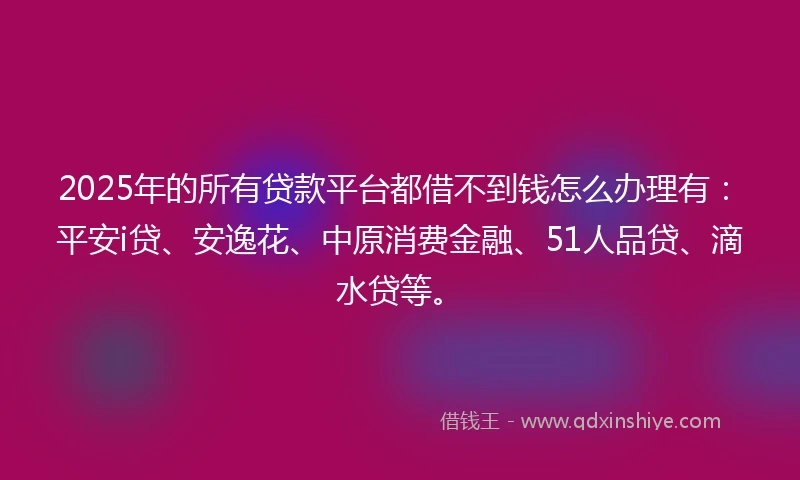 2025年的所有贷款平台都借不到钱怎么办理有：平安i贷、安逸花、中原消费金融、51人品贷、滴水贷等。