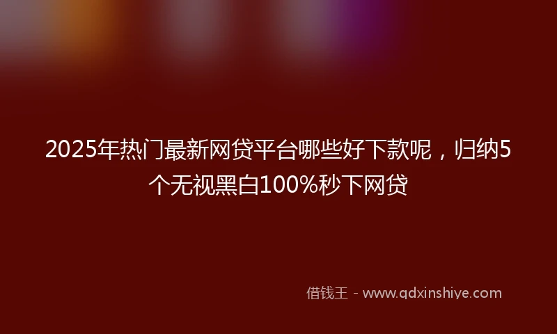2025年热门最新网贷平台哪些好下款呢，归纳5个无视黑白100%秒下网贷