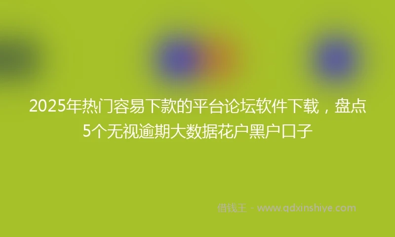 2025年热门容易下款的平台论坛软件下载，盘点5个无视逾期大数据花户黑户口子
