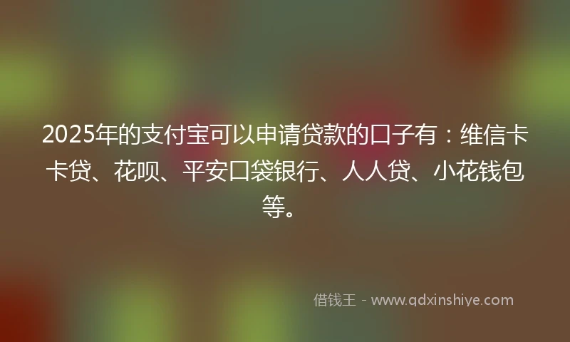 2025年的支付宝可以申请贷款的口子有：维信卡卡贷、花呗、平安口袋银行、人人贷、小花钱包等。