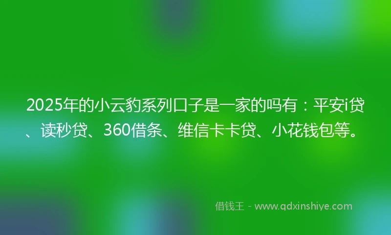 2025年的小云豹系列口子是一家的吗有：平安i贷、读秒贷、360借条、维信卡卡贷、小花钱包等。