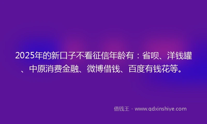 2025年的新口子不看征信年龄有：省呗、洋钱罐、中原消费金融、微博借钱、百度有钱花等。