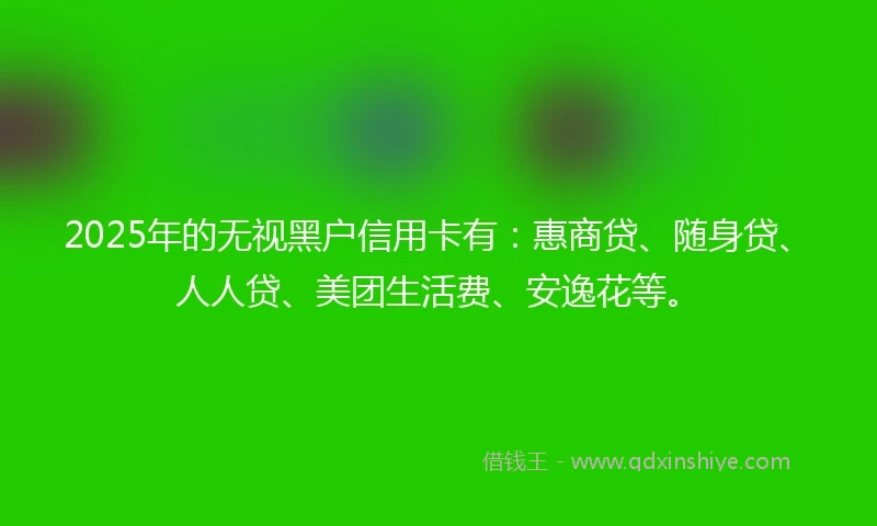 2025年的无视黑户信用卡有：惠商贷、随身贷、人人贷、美团生活费、安逸花等。