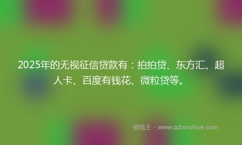 2025年的无视征信贷款有：拍拍贷、东方汇、超人卡、百度有钱花、微粒贷等。
