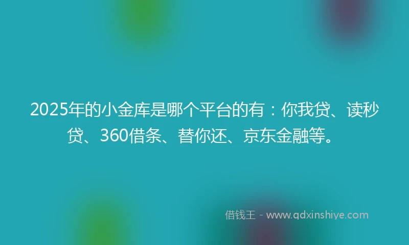 2025年的小金库是哪个平台的有：你我贷、读秒贷、360借条、替你还、京东金融等。