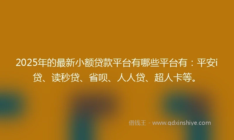 2025年的最新小额贷款平台有哪些平台有：平安i贷、读秒贷、省呗、人人贷、超人卡等。
