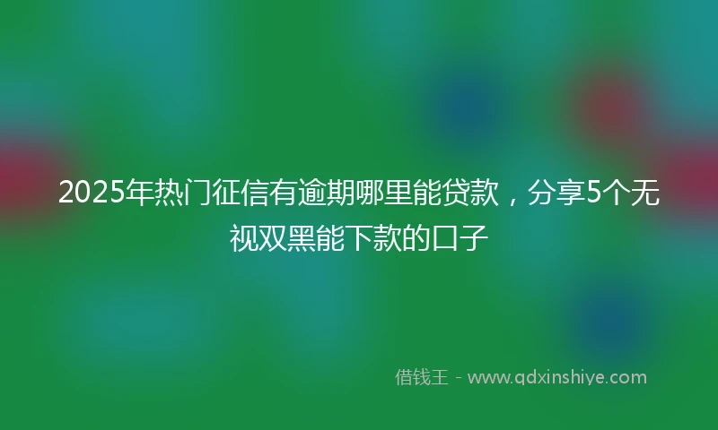 2025年热门征信有逾期哪里能贷款，分享5个无视双黑能下款的口子