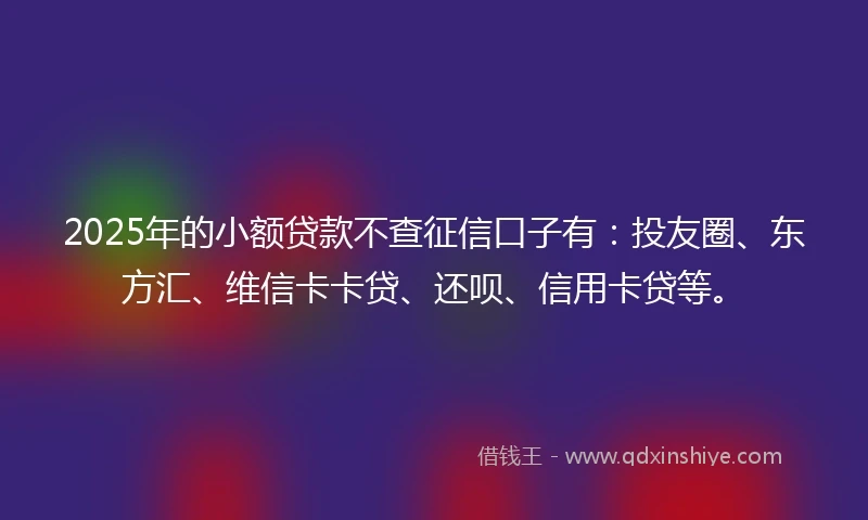2025年的小额贷款不查征信口子有：投友圈、东方汇、维信卡卡贷、还呗、信用卡贷等。