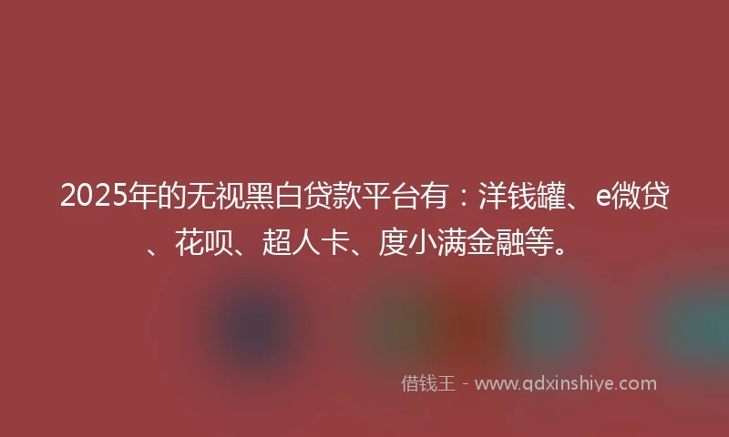 2025年的无视黑白贷款平台有：洋钱罐、e微贷、花呗、超人卡、度小满金融等。