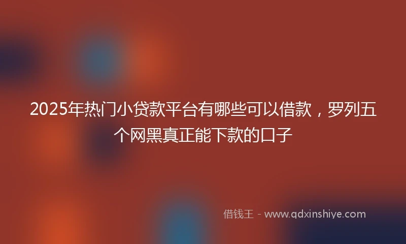 2025年热门小贷款平台有哪些可以借款，罗列五个网黑真正能下款的口子