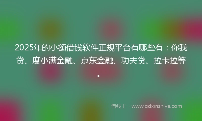 2025年的小额借钱软件正规平台有哪些有：你我贷、度小满金融、京东金融、功夫贷、拉卡拉等。