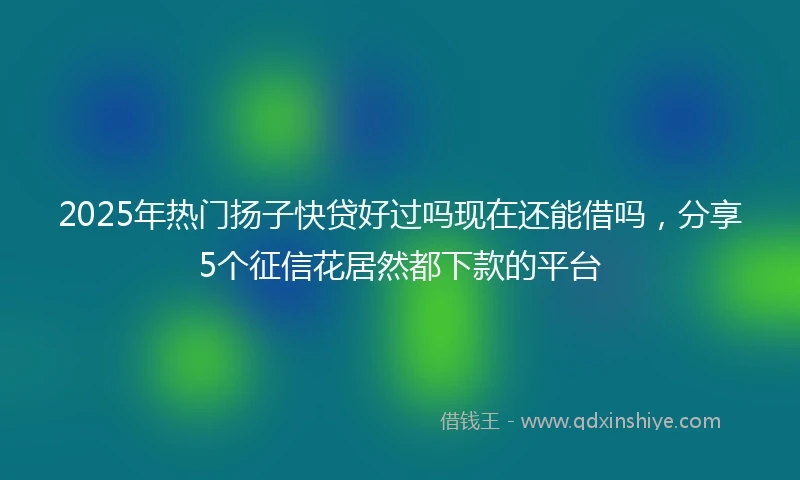 2025年热门扬子快贷好过吗现在还能借吗，分享5个征信花居然都下款的平台
