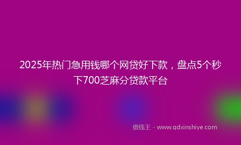 2025年热门急用钱哪个网贷好下款，盘点5个秒下700芝麻分贷款平台