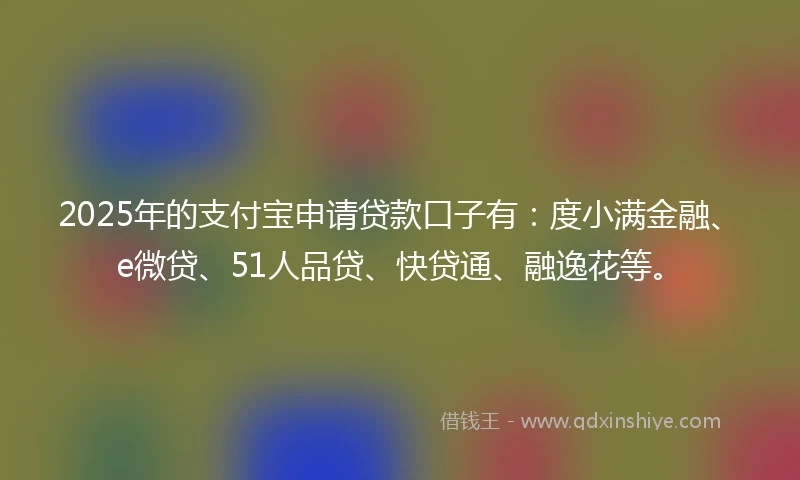 2025年的支付宝申请贷款口子有：度小满金融、e微贷、51人品贷、快贷通、融逸花等。