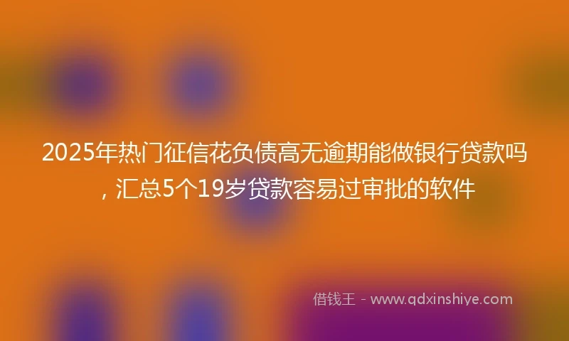 2025年热门征信花负债高无逾期能做银行贷款吗，汇总5个19岁贷款容易过审批的软件
