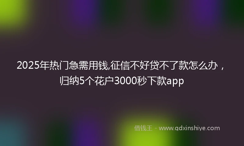 2025年热门急需用钱,征信不好贷不了款怎么办，归纳5个花户3000秒下款app