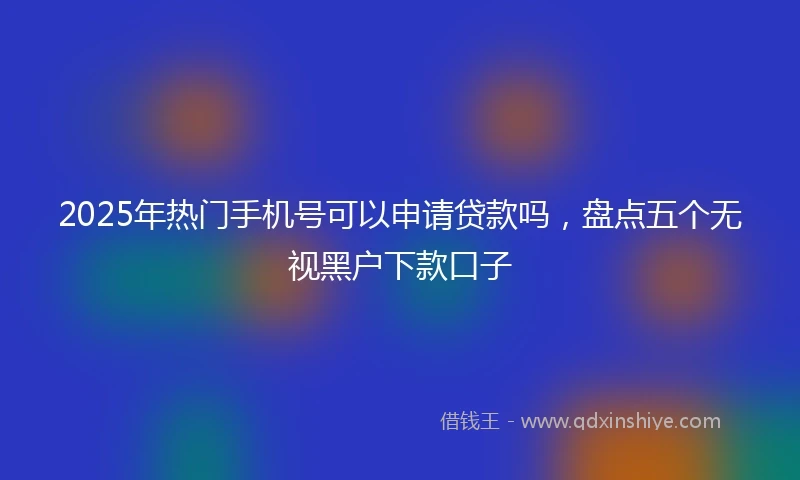 2025年热门手机号可以申请贷款吗，盘点五个无视黑户下款口子