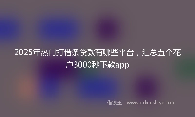 2025年热门打借条贷款有哪些平台，汇总五个花户3000秒下款app