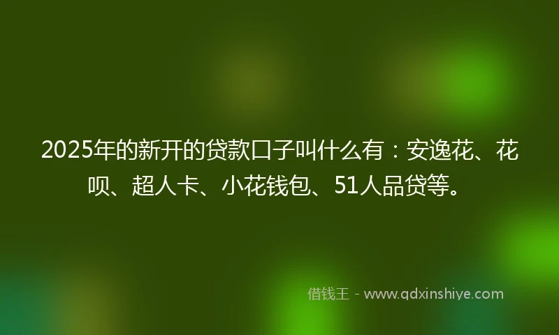 2025年的新开的贷款口子叫什么有：安逸花、花呗、超人卡、小花钱包、51人品贷等。