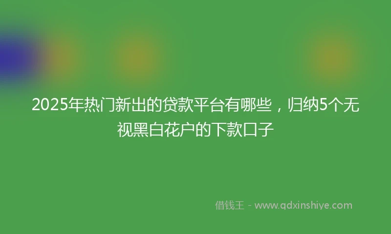 2025年热门新出的贷款平台有哪些，归纳5个无视黑白花户的下款口子