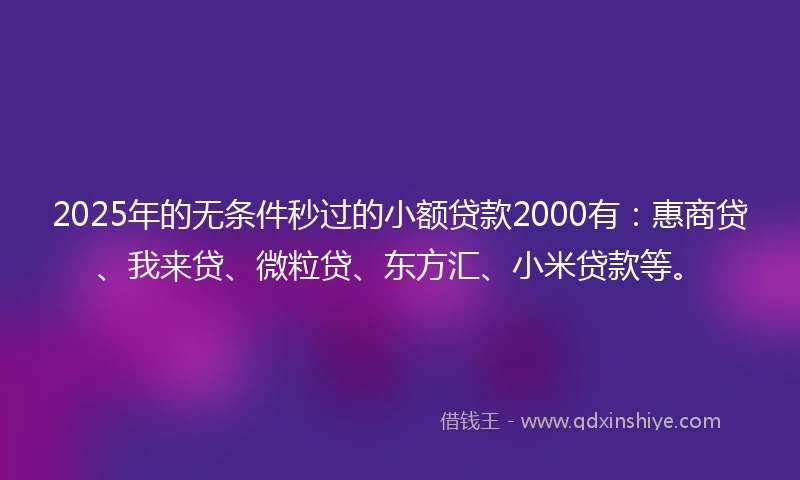 2025年的无条件秒过的小额贷款2000有：惠商贷、我来贷、微粒贷、东方汇、小米贷款等。