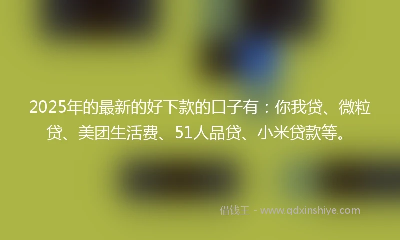 2025年的最新的好下款的口子有：你我贷、微粒贷、美团生活费、51人品贷、小米贷款等。
