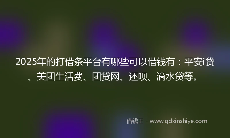 2025年的打借条平台有哪些可以借钱有：平安i贷、美团生活费、团贷网、还呗、滴水贷等。