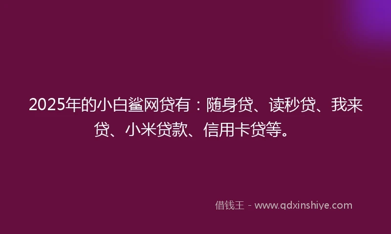 2025年的小白鲨网贷有：随身贷、读秒贷、我来贷、小米贷款、信用卡贷等。
