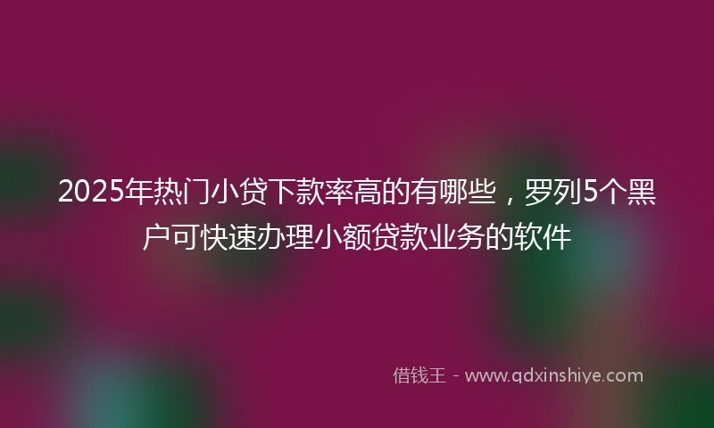 2025年热门小贷下款率高的有哪些，罗列5个黑户可快速办理小额贷款业务的软件