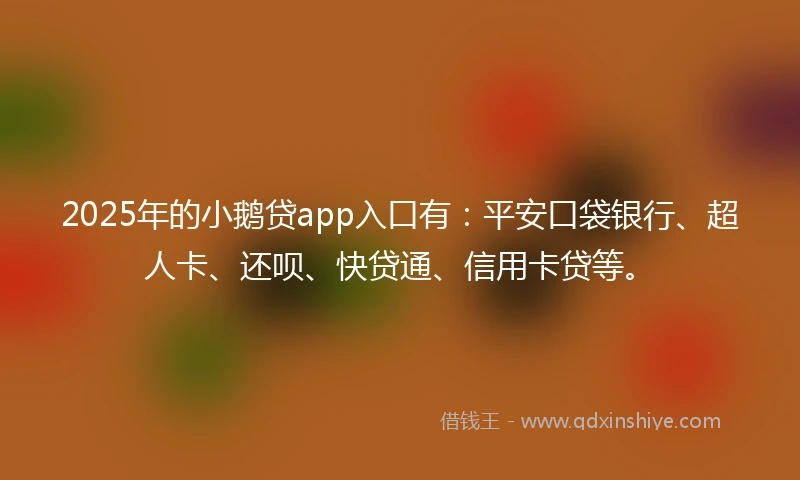 2025年的小鹅贷app入口有：平安口袋银行、超人卡、还呗、快贷通、信用卡贷等。