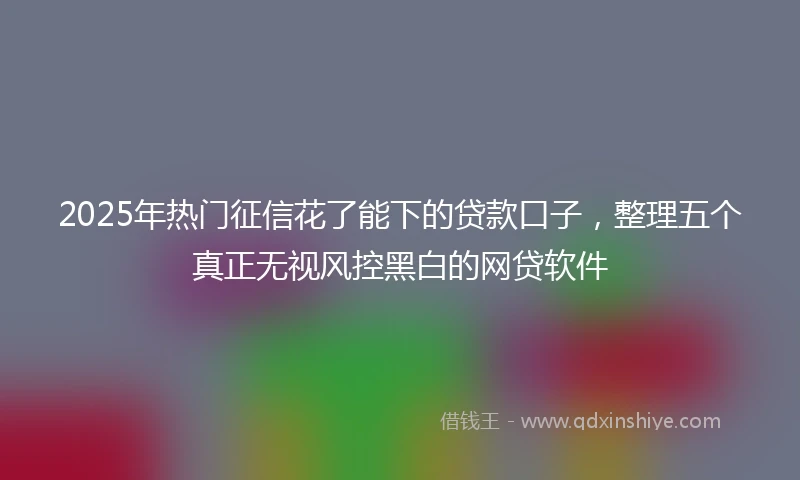 2025年热门征信花了能下的贷款口子，整理五个真正无视风控黑白的网贷软件