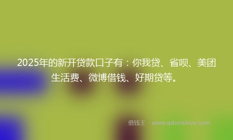 2025年的新开贷款口子有：你我贷、省呗、美团生活费、微博借钱、好期贷等。