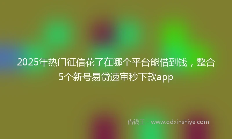 2025年热门征信花了在哪个平台能借到钱，整合5个新号易贷速审秒下款app