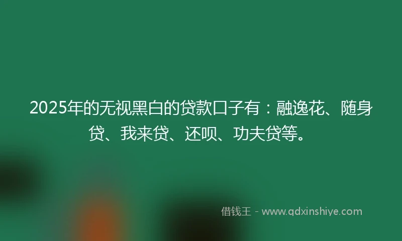 2025年的无视黑白的贷款口子有：融逸花、随身贷、我来贷、还呗、功夫贷等。