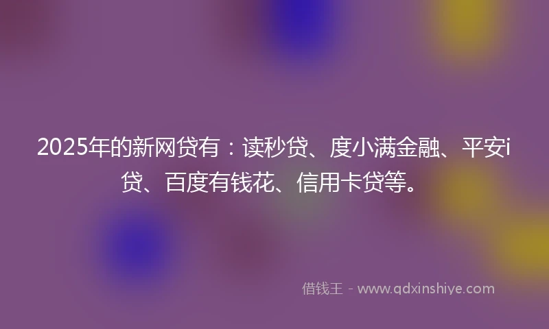 2025年的新网贷有：读秒贷、度小满金融、平安i贷、百度有钱花、信用卡贷等。