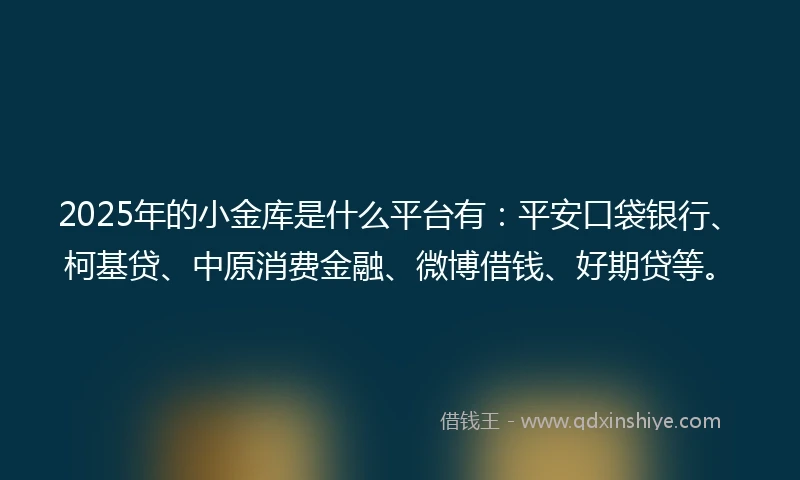 2025年的小金库是什么平台有：平安口袋银行、柯基贷、中原消费金融、微博借钱、好期贷等。