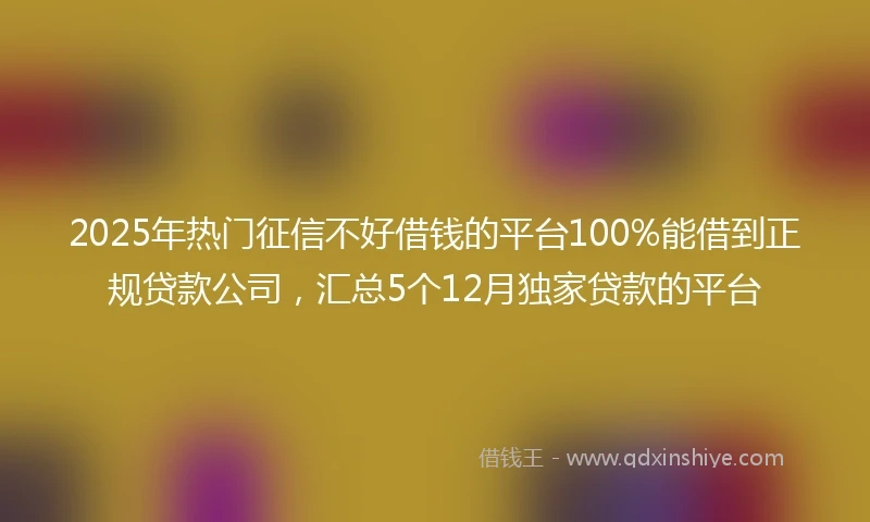 2025年热门征信不好借钱的平台100%能借到正规贷款公司，汇总5个12月独家贷款的平台